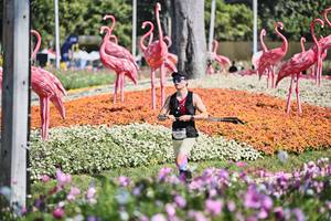 BIB: 
                            <button type="button" onclick="openModal(27794020)" class="btn btn-primary btn-sm float-right btn-popup" data-toggle="modal" data-target=".modal-high-quality">
                        <i class="fas fa-shopping-cart"></i> Add to Cart
                    </button>
                                            <button type="button" onclick="isThisMe(27794020, true)" class="btn btn-success btn-sm float-right btn-popup btn-isme hidden" data-toggle="tooltip" data-placement="bottom" title="นี่คือรูปของคุณใช่ไหม คลิกที่นี่เพื่อเอาเข้าอัลบั้ม">
                        <i class="fas fa-plus"></i> Add to album
                    </button>
                    <button type="button" onclick="isThisMe(27794020, false)" class="btn btn-warning btn-sm float-right btn-popup btn-isnotme hidden">
                        <i class="fas fa-ban"></i> Remove from album
                    </button>